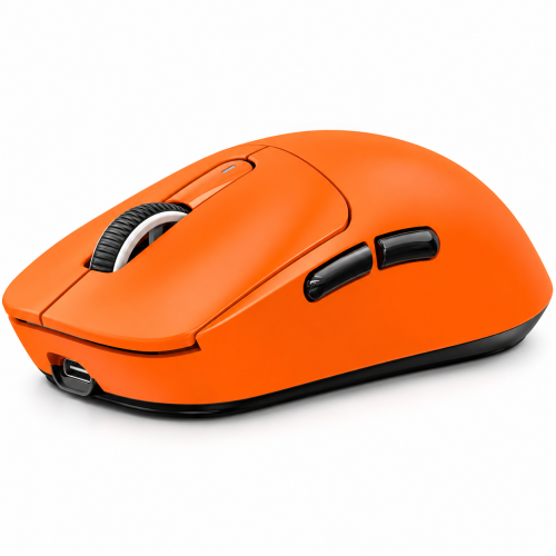 Mouse